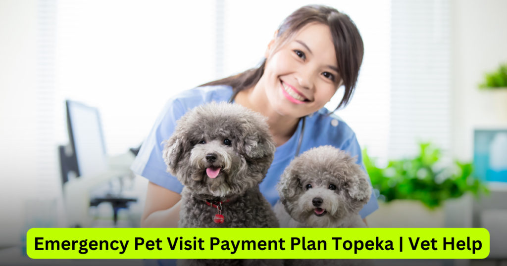 Emergency Pet Visit Payment Plan Topeka Vet Help