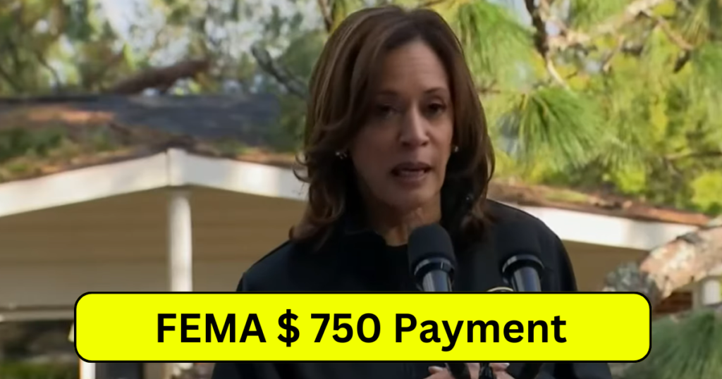 FEMA 750 Payment