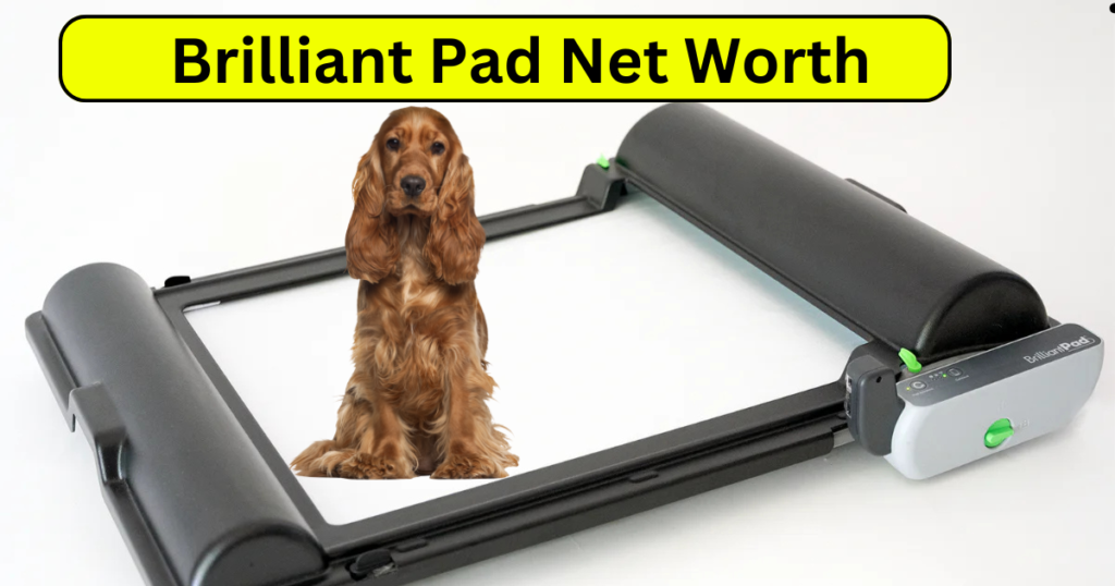 brilliant pad net worth